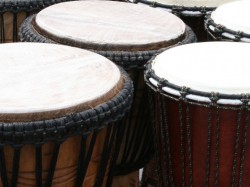 afrika 9